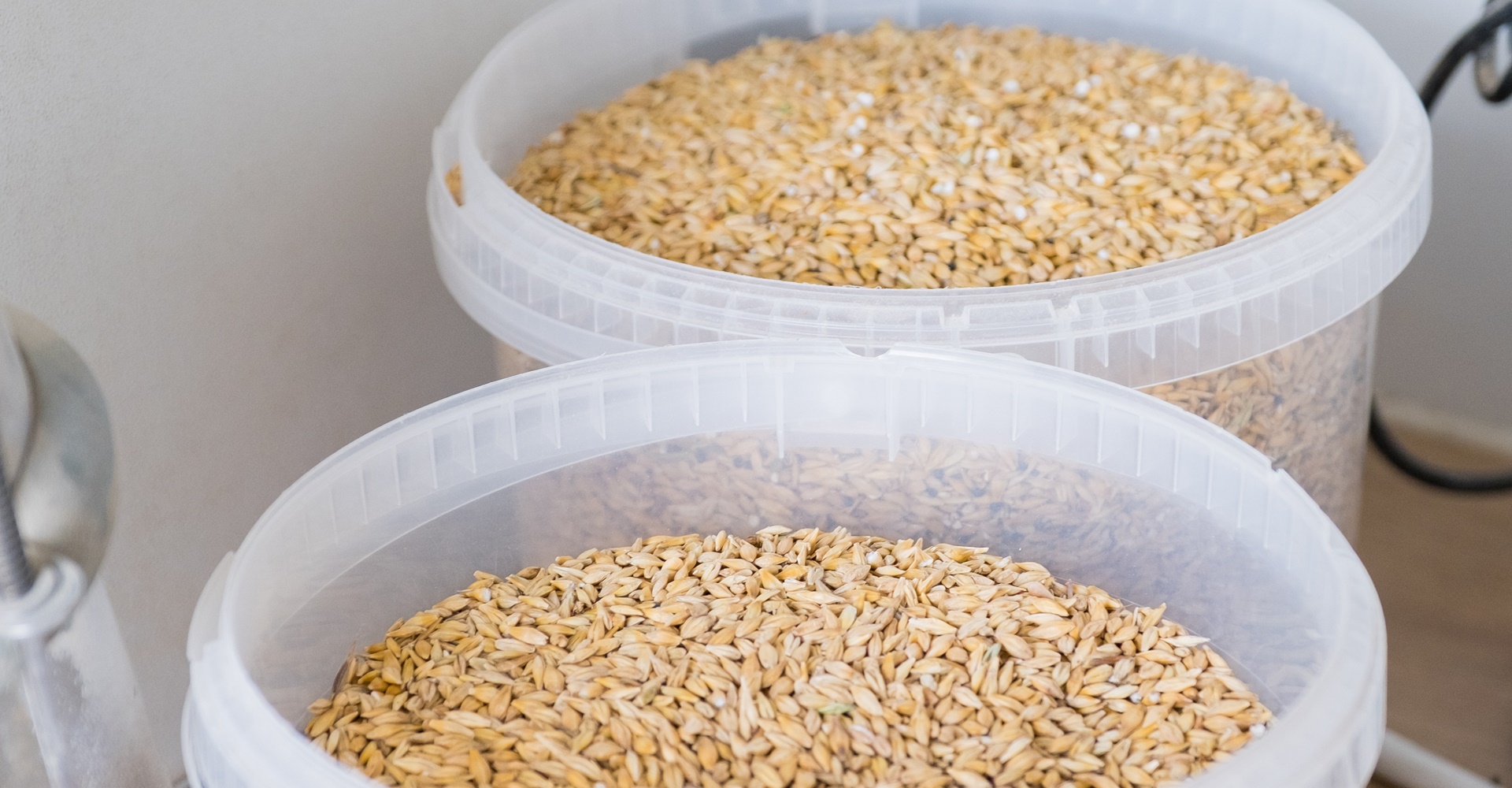 Witzmann Mühle GmbH