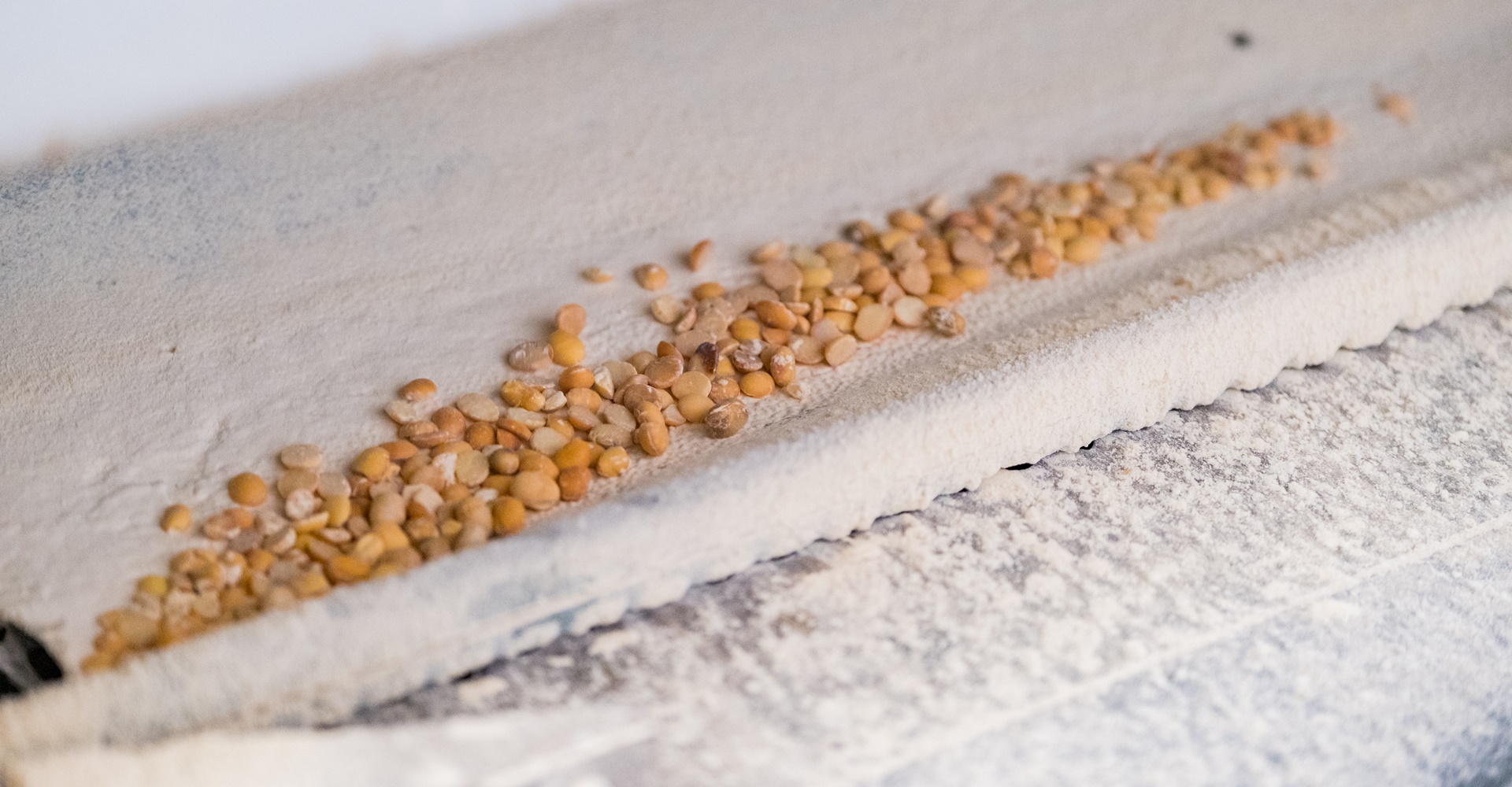 Witzmann Mühle GmbH